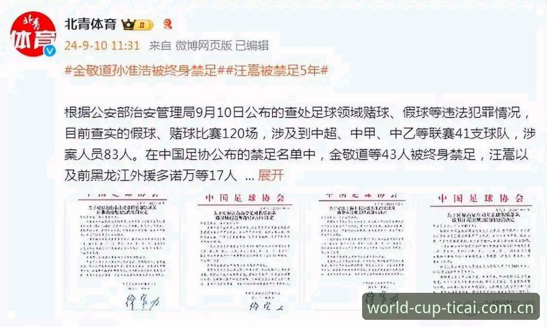 4类足球乱象与3步应对方案：足协第三批禁足名单深度解析
